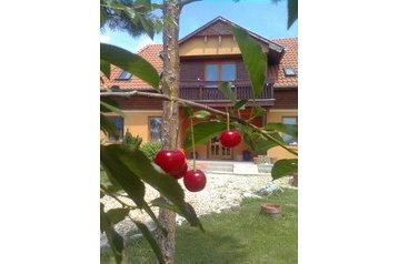 Hungrie Privát Hajdúszoboszló, Extérieur